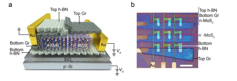 An optoelectronic device with a new signal processing behavior