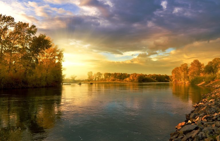 Scientists challenge claim British rivers are ‘cleanest since Industrial Revolution’