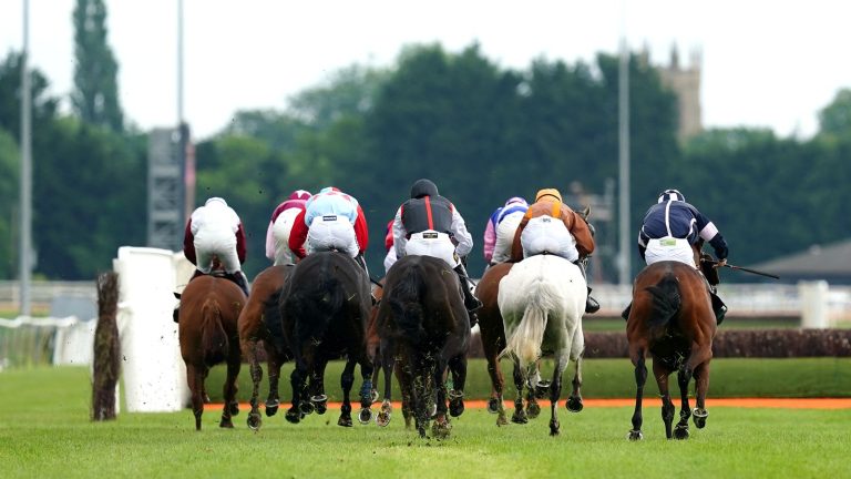 UK heatwave: Southwell to switch to 10am start and greyhound fixtures cancelled amid extreme weather warnings | Racing News