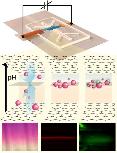 Researcher uses graphene for same-time, same-position biomolecule isolation and sensing