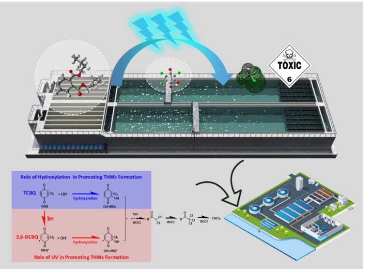 Exploring how adding UV treatment to water chlorination can actually increase toxic trihalomethane production