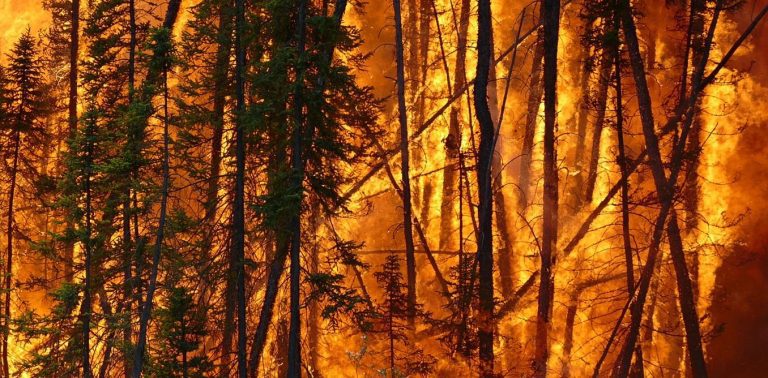 Wildfire risk has grown nearly everywhere, but we can still influence where and how fires strike