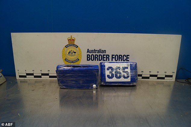 Forensic officers found different labels on the bricks of cocaine, including the numbers '365', '5' and the word 'Netflix' (pictured, one of the bags of cocaine labelled '365')