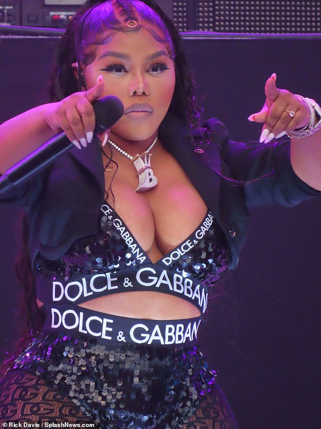 Looking fab: The 48-year-old was part of a glittering, star-studded lineup performing LL Cool J's Rock The Bells hip-hop festival