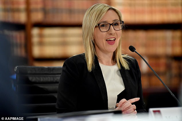 Amy Brown (pictured) outlined the processes that saw two high-flying women passed over for trade role that eventually went to former NSW deputy premier John Barilaro