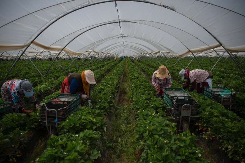 Over 80 percent of Spain's water resources are used by agriculture