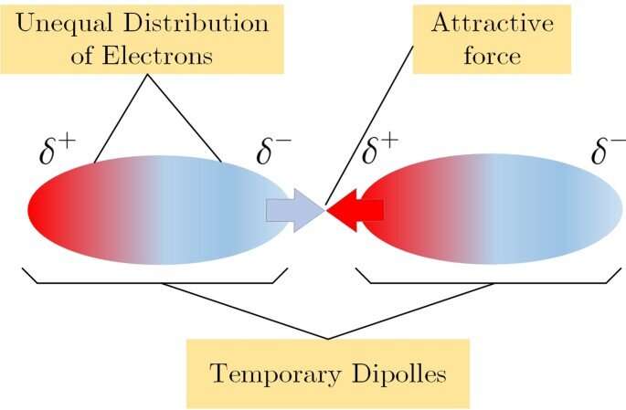 A van der Waals force-based adhesion study of stem cells exposed to cold atmospheric jets