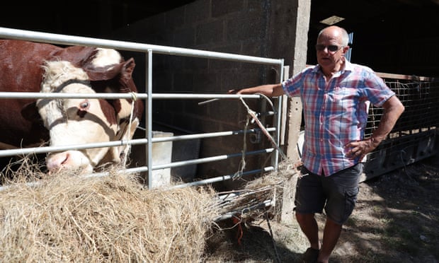 Peter Langford, a farmer in Northend, considered using bottled water for his cattle.