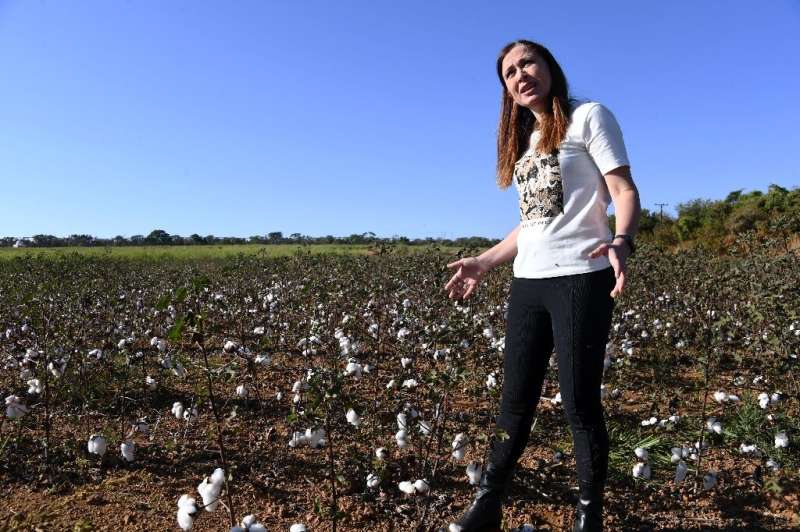 Cristina Schetino, a researcher from the University of Brasilia, speaks about biological pest control in cotton farming during a