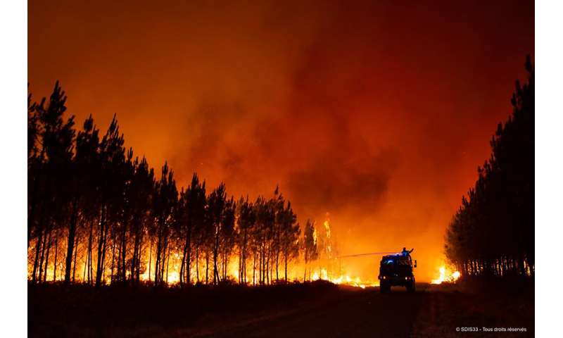 Wildfires spread, fish die off amid severe drought in Europe