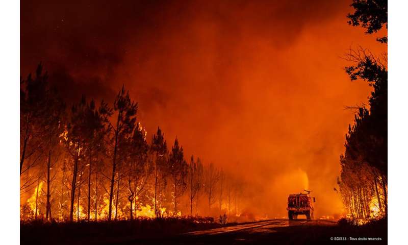 Wildfires spread, fish die off amid severe drought in Europe