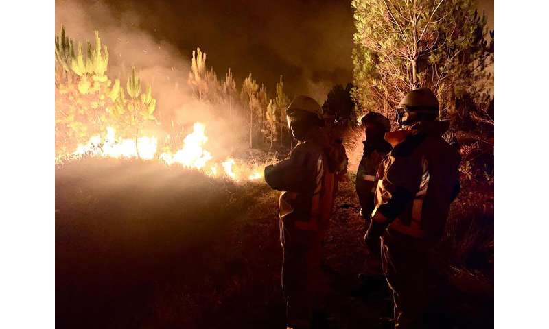 Wildfires spread, fish die off amid severe drought in Europe