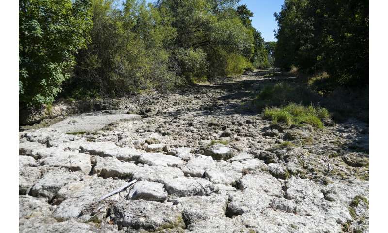 European drought dries up rivers, kills fish, shrivels crops