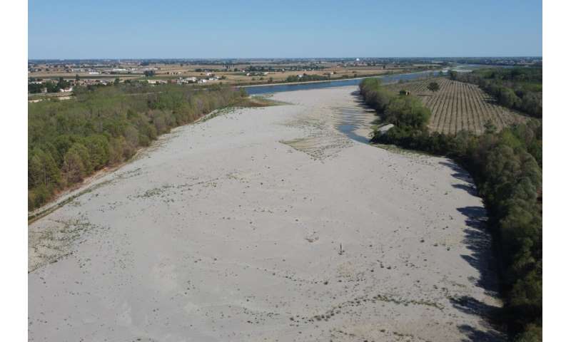 European drought dries up rivers, kills fish, shrivels crops