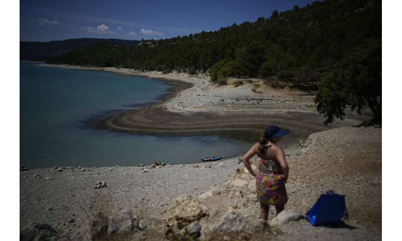 European drought dries up rivers, kills fish, shrivels crops