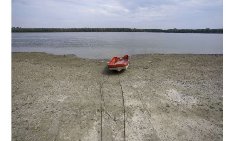 European drought dries up rivers, kills fish, shrivels crops