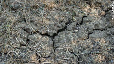 Cracked earth in a dried out field near Chelmsford, England.