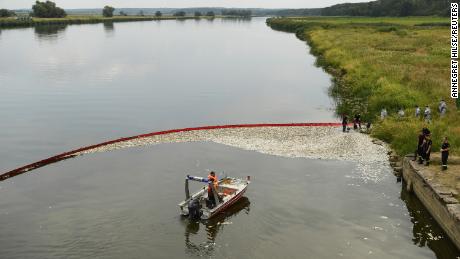 Fish are removed at a mobile catch basin from the Oder river on Saturday.