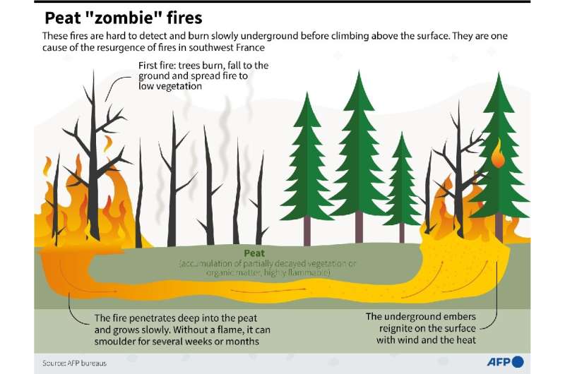 Peat &quot;zombie fires&quot;