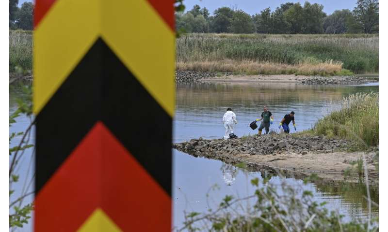 What killed tons of fish in European river? Mystery deepens