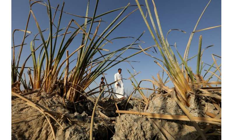 Environmental activist Ahmed Saleh Neema said there were &quot;no more fish&quot;, wild boar or even a subspecies of smooth-coat