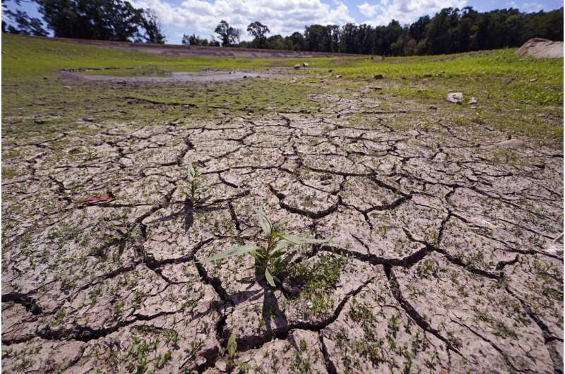 Northeastern farmers face new challenges with severe drought