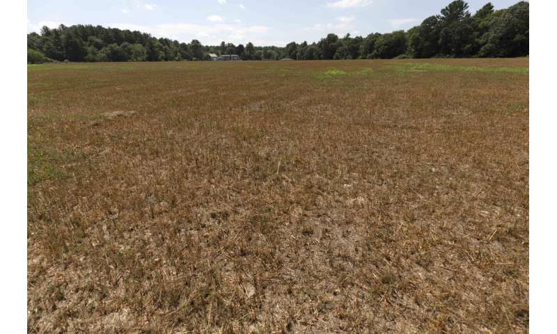 Northeastern farmers face new challenges with severe drought