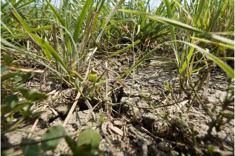 Northeastern farmers face new challenges with severe drought