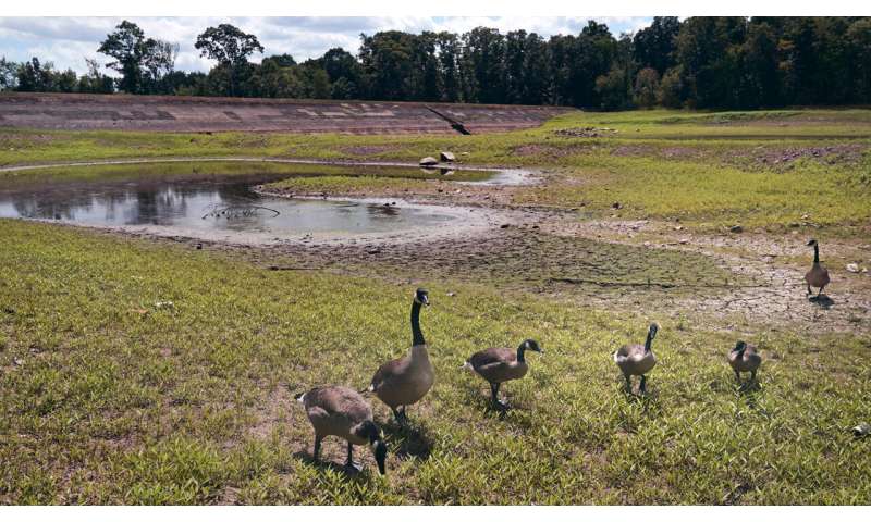 Northeastern farmers face new challenges with severe drought