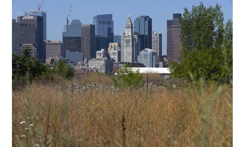 Northeastern farmers face new challenges with severe drought