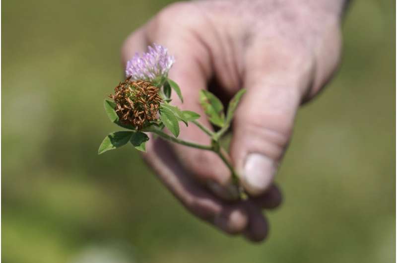 Northeastern farmers face new challenges with severe drought