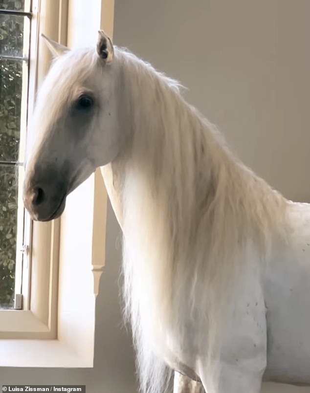 What will the NEIGH-bours say? Taking to instagram, Luisa confirmed he now takes pride of place in the family living room, with his stuffed carcass stationed next to a window