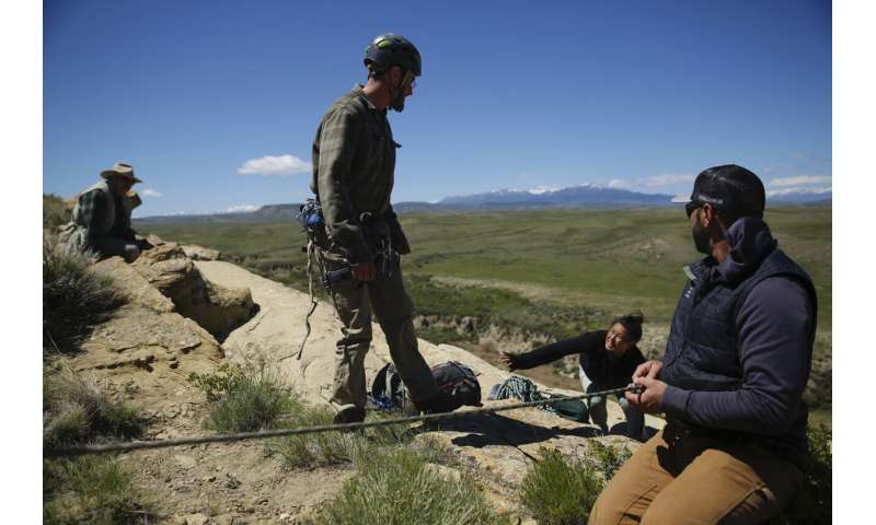 Wind energy boom and golden eagles collide in the US West