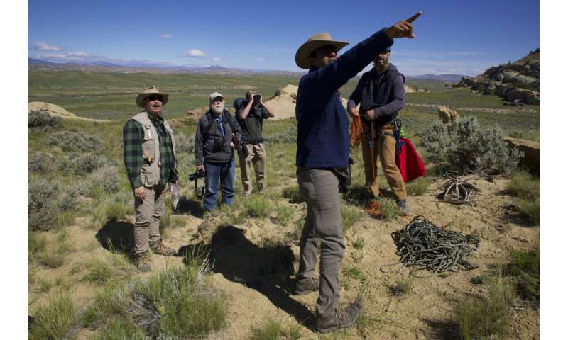 Wind energy boom and golden eagles collide in the US West