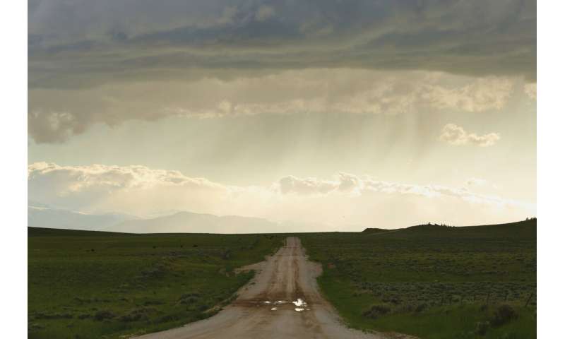 Wind energy boom and golden eagles collide in the US West