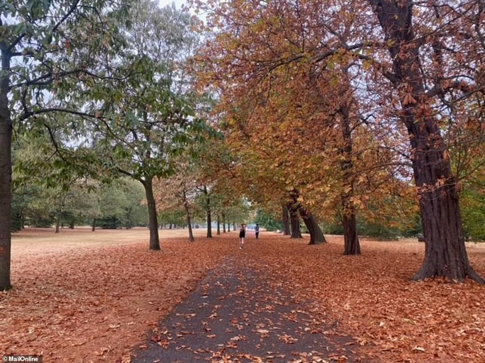 An autumnal feel to Hyde Park in London yesterday morning as the heatwave finally ends with a series of thunderstorms