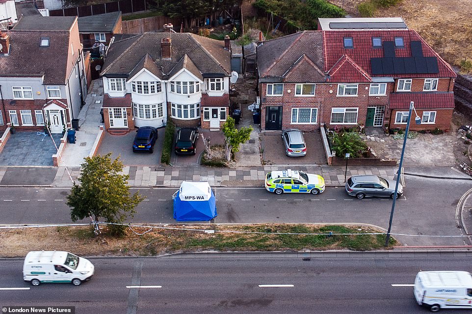 After being stabbed in an alleyway just off the busy A40 Western Avenue, Mr O'Halloran continued a short distance down Runnymede Gardens (pictured today) where he succumbed to his injuries