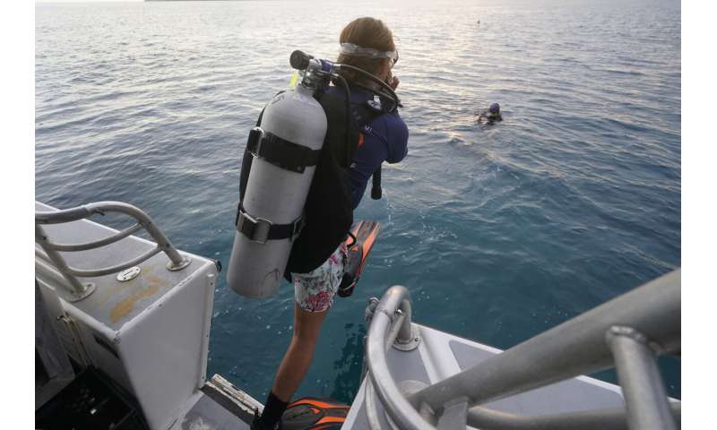 Scientists seek to develop hybrid coral reef off of Miami