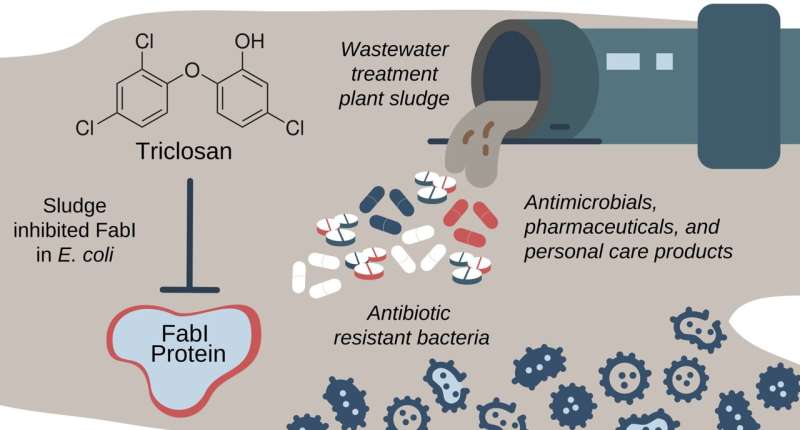 Common ingredient in household products could be contributing to antibiotic resistance: U of T researchers