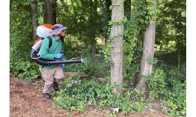 Backyard mosquito spraying booms, but may be too deadly