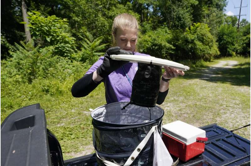 Backyard mosquito spraying booms, but may be too deadly