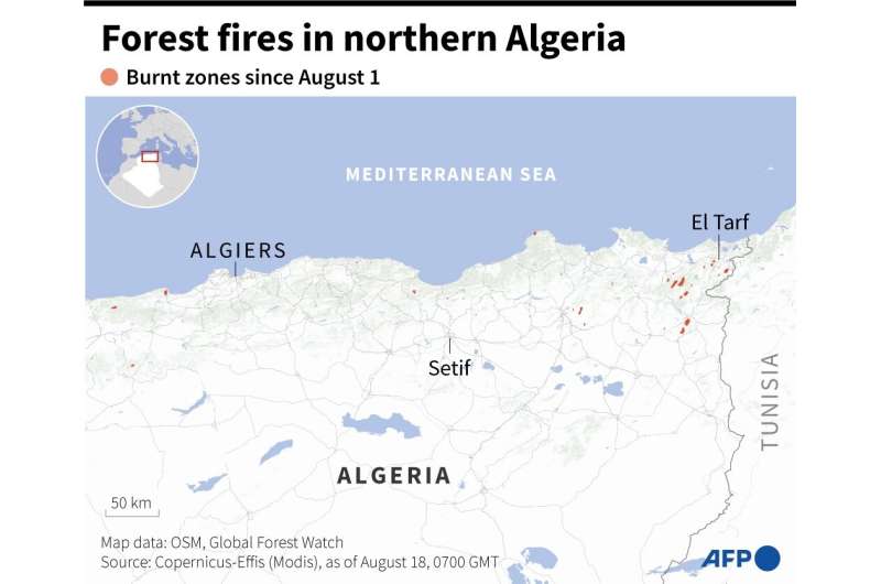 Forest fires in northern Algeria