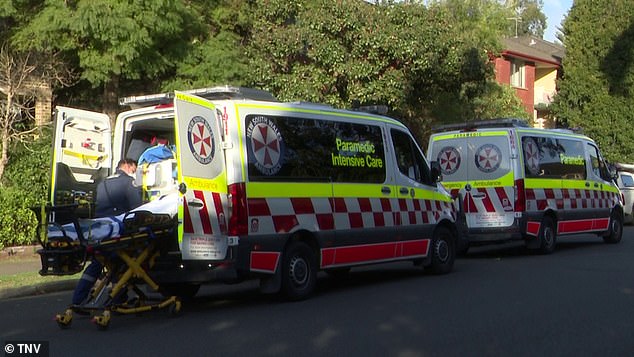 He was placed in a stretcher and treated at the scene by NSW Ambulance paramedics, before being taken to Sydney Children's Hospital