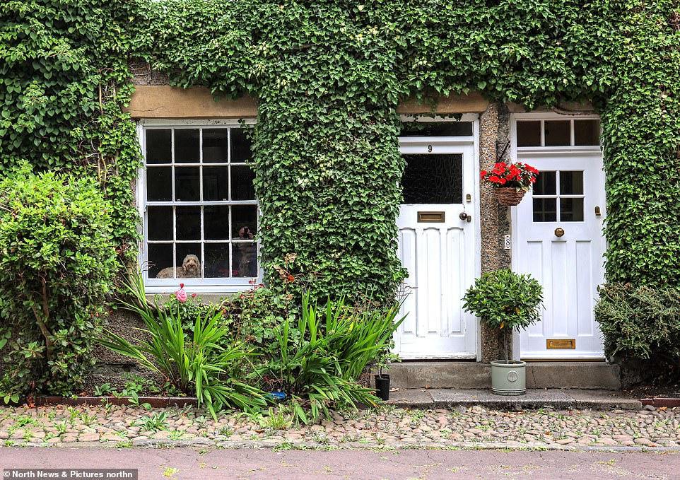 Houses in the village have a rich history, with many being grade II listed, while a lot of the trees have reservation orders