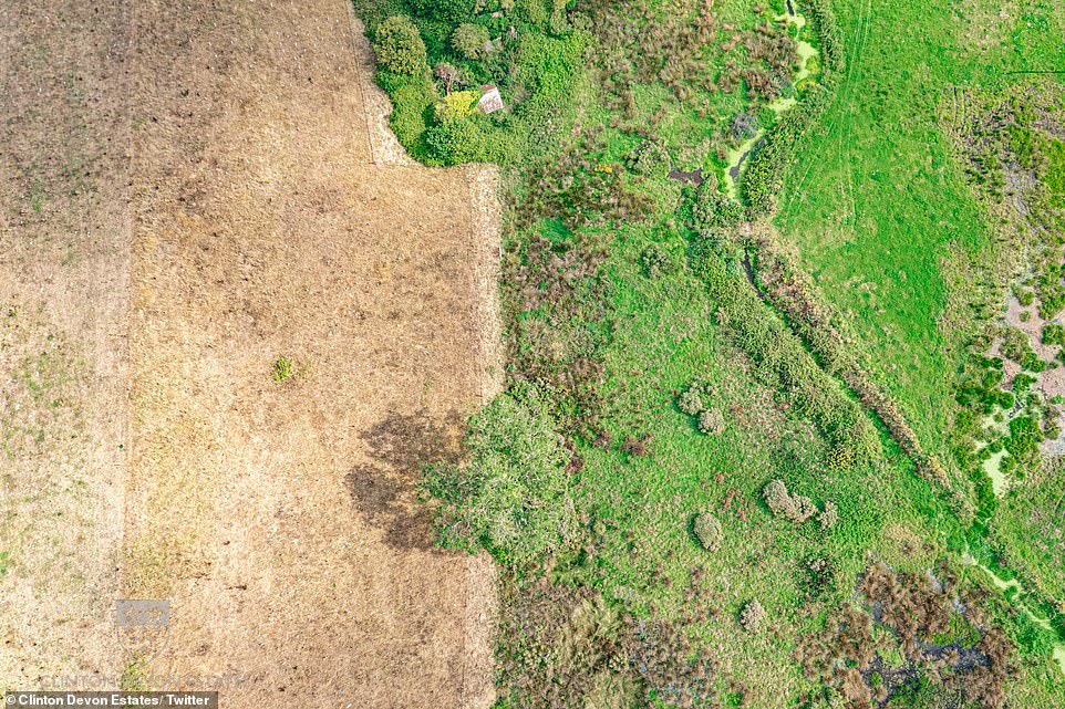 The footage shows a stark contrast between the two areas, with the dam network keeping the area on the right hydrated, whilst the area on the left shows the scorched fields caused by the heatwave