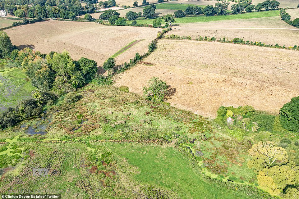 The area was part of an Exeter University study to explore the impacts beavers have on the Devonshire countryside for five years, which concluded in 2020