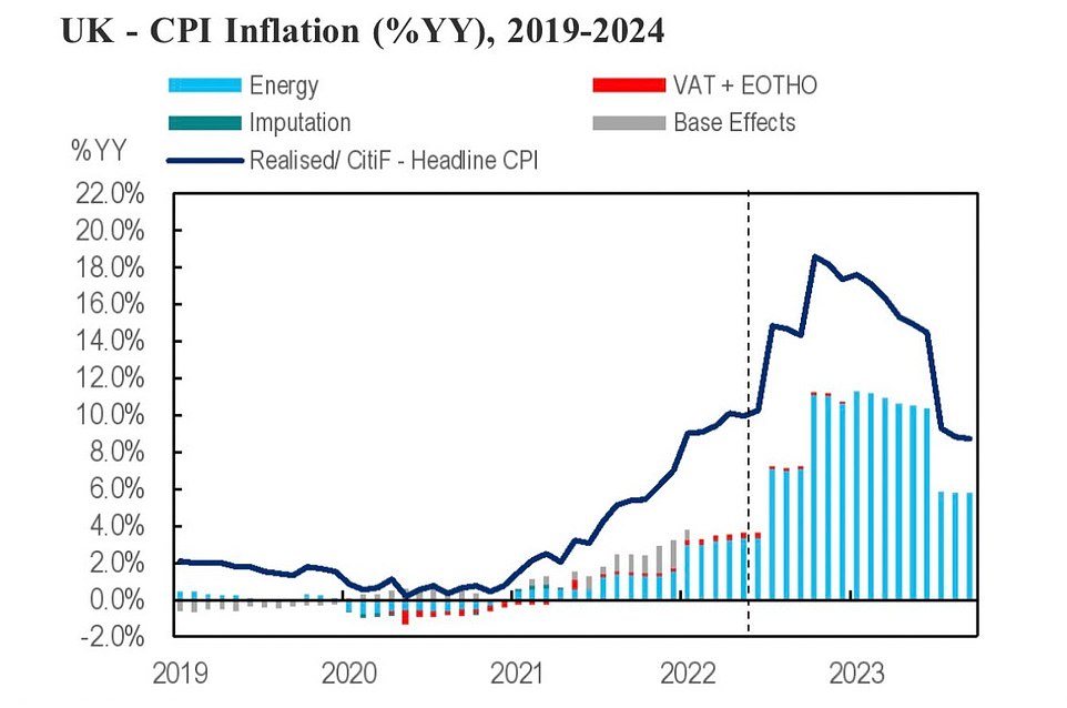 Consumer Price Index (CPI) inflation, which is the increase in how much people pay for goods and services, is set to reach 18 per cent in the new year