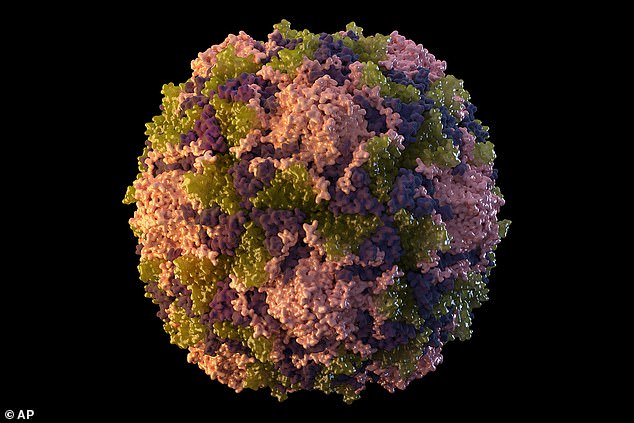 Pictured: A polio virus particle. Live polio virus has been detected in sewage in at least eight boroughs in the north and north-east of the city