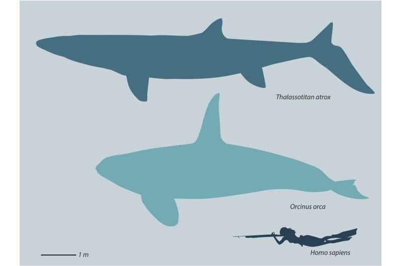 Researchers discover fossils of giant sea lizard that ruled the oceans 66 million years ago