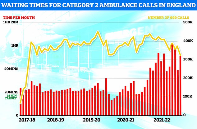 After weeks of stories emerging about elderly people waiting up to 40 hours for an ambulance and then being stuck overnight outside hospital, Steve Barclay said such delays were ¿unacceptable¿ and were his biggest priority